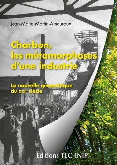 Charbon, les métamorphoses d'une industrie - Martin-Amouroux, Jean-Marie