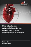 Uno studio sul coinvolgimento del calcio nel cuore ischemico e normale Uno studio sul coinvolgimento del calcio nel cuore ischemico e normale
