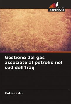 Cover Gestione del gas associato al petrolio nel sud dell'Iraq
