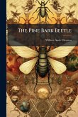The Pine Bark Beetle