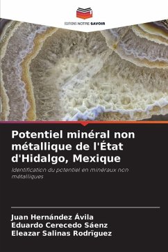 Cover Potentiel minéral non métallique de l'État d'Hidalgo, Mexique