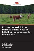 Études de toxicité de Mimosa pudica chez le bétail et les animaux de laboratoire