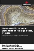 Non-metallic mineral potential of Hidalgo State, Mexico