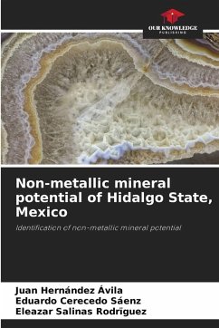 Cover Non-metallic mineral potential of Hidalgo State, Mexico