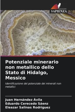 Cover Potenziale minerario non metallico dello Stato di Hidalgo, Messico