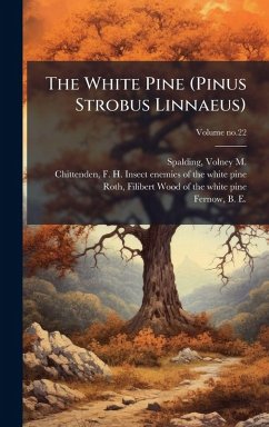 Cover The White Pine (Pinus Strobus Linnaeus)