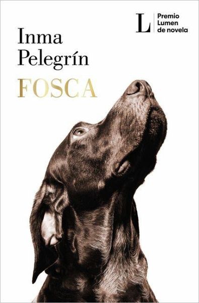 Focsa (Premio Lumen 2025) / Gloomy (2025 Lumen Award)
