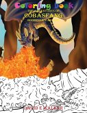 Coloring Book The Adventures of Cobasfang