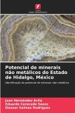 Potencial de minerais não metálicos do Estado de Hidalgo, México