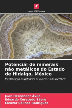 Cover Potencial de minerais não metálicos do Estado de Hidalgo, México