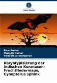 Karyotypisierung der indischen Kurznasen-Fruchtfledermaus, Cynopterus sphinx Karyotypisierung der indischen Kurznasen-Fruchtfledermaus, Cynopterus sphinx