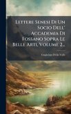 Lettere Senesi Di Un Socio Dell' Accademia Di Fossano Sopra Le Belle Arti, Volume 2...
