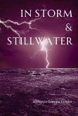 In Storm & Stillwater (eBook, ePUB)