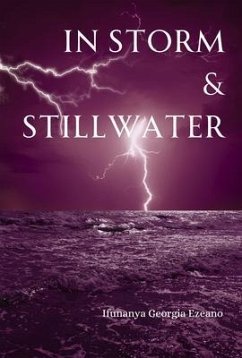 Cover In Storm & Stillwater (eBook, ePUB)