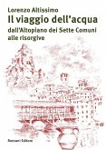 Il viaggio dell'acqua (eBook, ePUB)