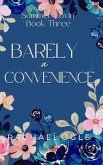 Barely a Convenience (eBook, ePUB) Barely a Convenience (eBook, ePUB)