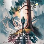 Peter Camenzind (eBook, ePUB)