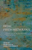 Irish Phenomenology (eBook, PDF)