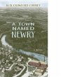 A Town Named Newry (eBook, ePUB) - Bild 1
