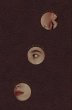 Puryear (eBook, ePUB) - Bild 1