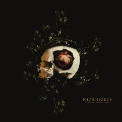 Cover Frail Grasp Of Broken Hands