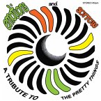Emotions & Sorrow: A Tribute To The Pretty Things