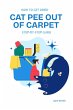 How to Get Dried Cat Pee Out of Carpet... - Bild 1