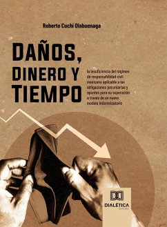 Cover Daños, Dinero y Tiempo (eBook, ePUB)