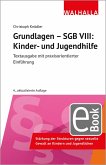 Grundlagen - SGB VIII: Kinder- und Jugendhilfe (eBook, PDF) Grundlagen - SGB VIII: Kinder- und Jugendhilfe (eBook, PDF)