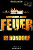 Feuer in Rondorf  (Restauflage)