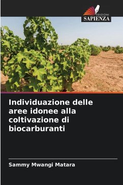 Cover Individuazione delle aree idonee alla coltivazione di biocarburanti
