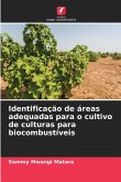 Identificação de áreas adequadas para o cultivo de culturas para biocombustíveis