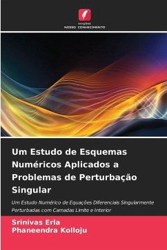Cover Um Estudo de Esquemas Numéricos Aplicados a Problemas de Perturbação Singular