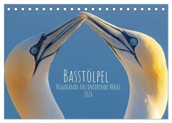 Basstölpel - Helgolands faszinierende Vögel (Tischkalender 2026 DIN A5 quer), CALVENDO Monatskalender Basstölpel - Helgolands faszinierende Vögel (Tischkalender 2026 DIN A5 quer), CALVENDO Monatskalender