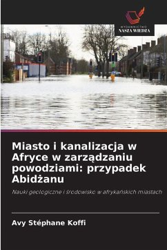 Cover Miasto i kanalizacja w Afryce w zarz¿dzaniu powodziami: przypadek Abid¿anu