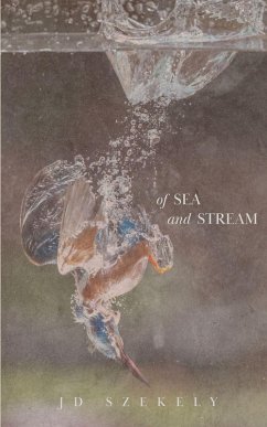 Cover Of Sea and Stream
