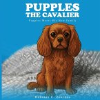 Pupples the Cavalier Pupples the Cavalier