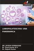 LABIOPALATOSCHISI: UNA PANORAMICA LABIOPALATOSCHISI: UNA PANORAMICA
