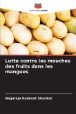Lutte contre les mouches des fruits dans les mangues