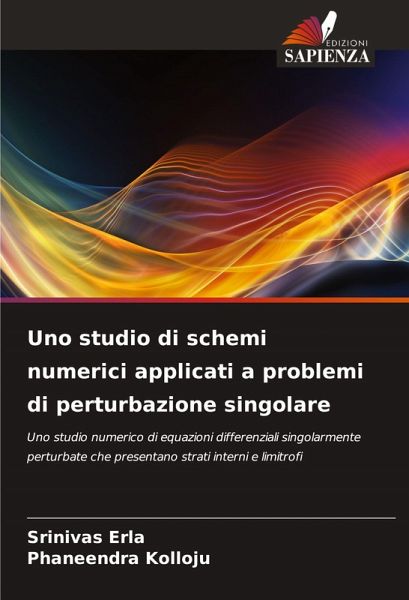 Uno studio di schemi numerici applicati a problemi di perturbazione singolare Uno studio di schemi numerici applicati a problemi di perturbazione singolare
