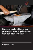 Ma¿e przedsi¿biorstwa przemys¿owe w pó¿nocno-wschodnich Indiach Ma¿e przedsi¿biorstwa przemys¿owe w pó¿nocno-wschodnich Indiach