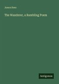The Wanderer, a Rambling Poem