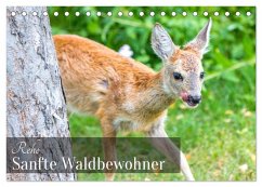 Rehe - Sanfte Waldbewohner (Tischkalender 2026 DIN A5 quer), CALVENDO Monatskalender