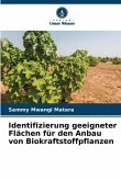 Identifizierung geeigneter Flächen für den Anbau von Biokraftstoffpflanzen