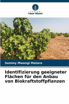 Cover Identifizierung geeigneter Flächen für den Anbau von Biokraftstoffpflanzen
