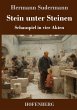 Stein unter Steinen - Bild 1