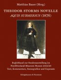 Theodor Storms Novelle Aquis submersus (1876) Theodor Storms Novelle Aquis submersus (1876)