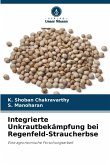 Integrierte Unkrautbekämpfung bei Regenfeld-Straucherbse Integrierte Unkrautbekämpfung bei Regenfeld-Straucherbse