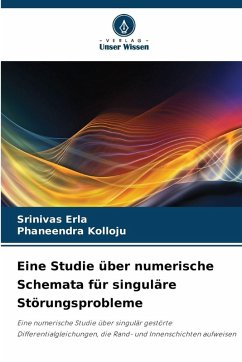 Cover Eine Studie über numerische Schemata für singuläre Störungsprobleme