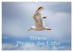 Cover Möwen Piraten der Lüfte (Wandkalender 2026 DIN A2 quer), CALVENDO Monatskalender